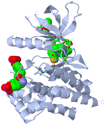 Image Biol. Unit 1 - sites