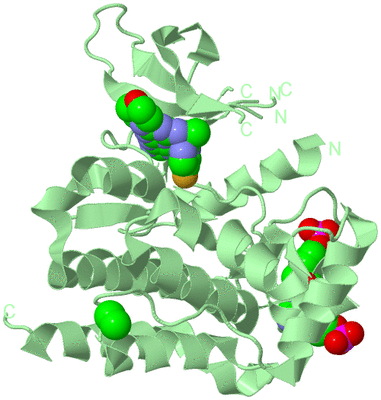 Image Biological Unit 2