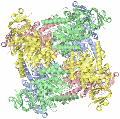 Image Biological Unit 1