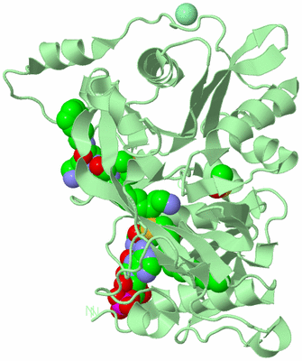 Image Biological Unit 2