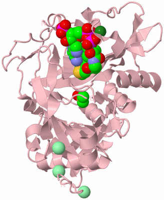 Image Biological Unit 3