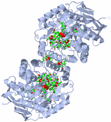 Image Biol. Unit 1 - sites