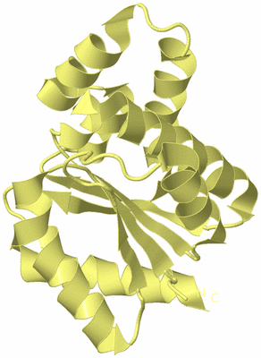 Image Biological Unit 4