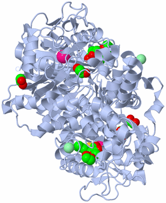 Image Biological Unit 1