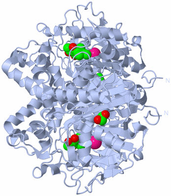 Image Biological Unit 1