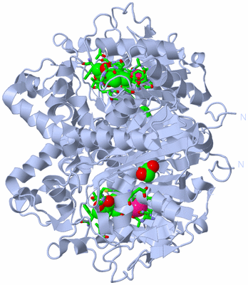 Image Biol. Unit 1 - sites