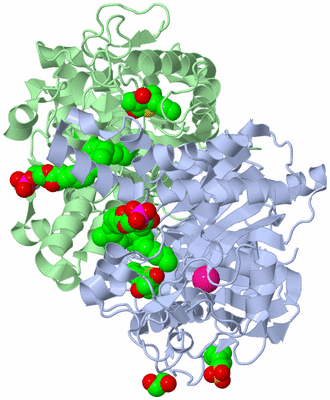 Image Biological Unit 1