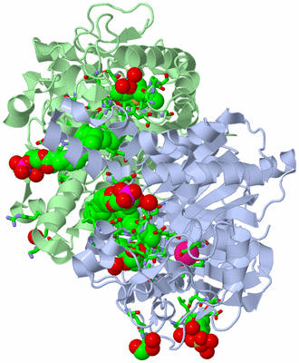 Image Biol. Unit 1 - sites