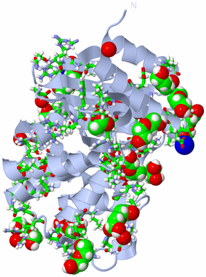 Image Biol. Unit 1 - sites