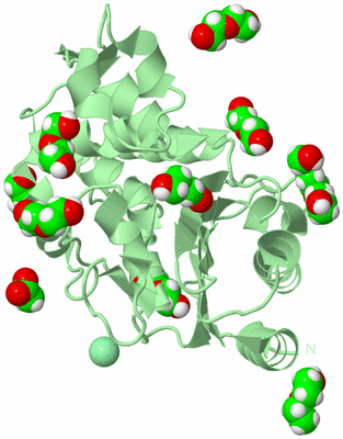 Image Biological Unit 2