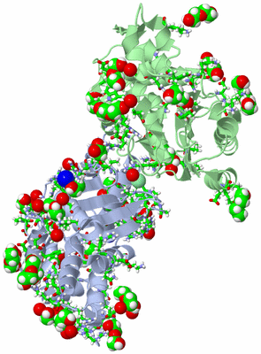 Image Asym. Unit - sites