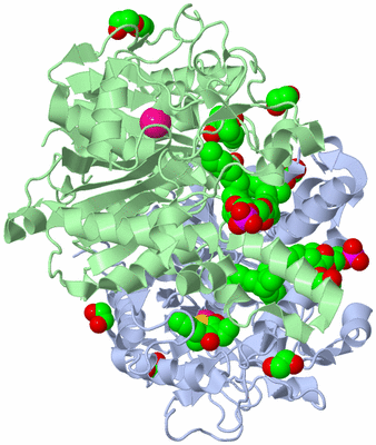 Image Asym./Biol. Unit