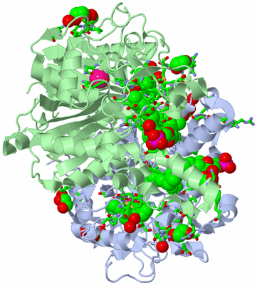 Image Asym./Biol. Unit - sites