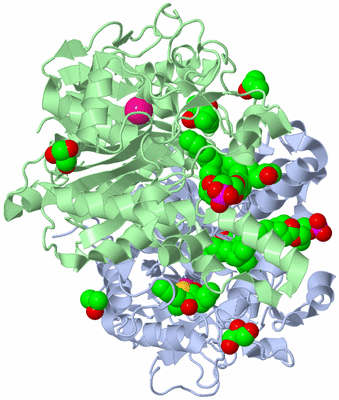 Image Asym./Biol. Unit