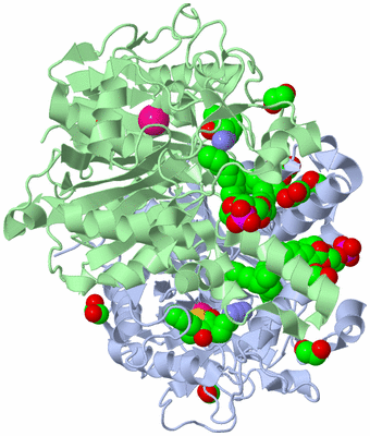 Image Asym./Biol. Unit