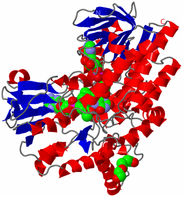 Image Asym./Biol. Unit