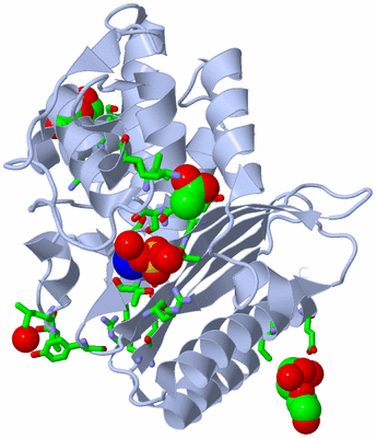 Image Biol. Unit 1 - sites