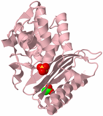 Image Biological Unit 3