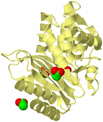 Image Biological Unit 4