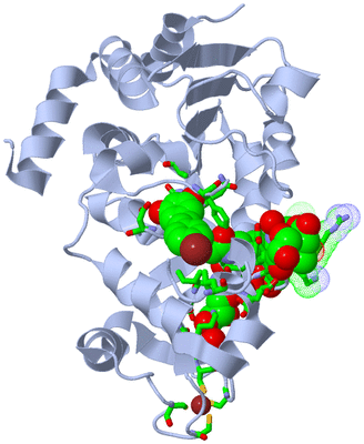 Image Asym./Biol. Unit - sites