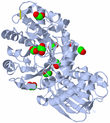 Image Biological Unit 1