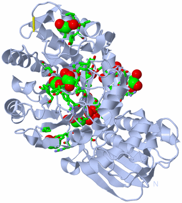 Image Biol. Unit 1 - sites