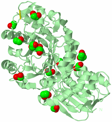 Image Biological Unit 2