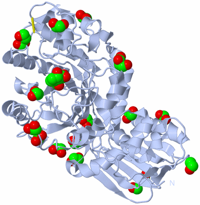 Image Biological Unit 1