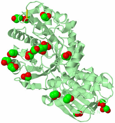 Image Biological Unit 2