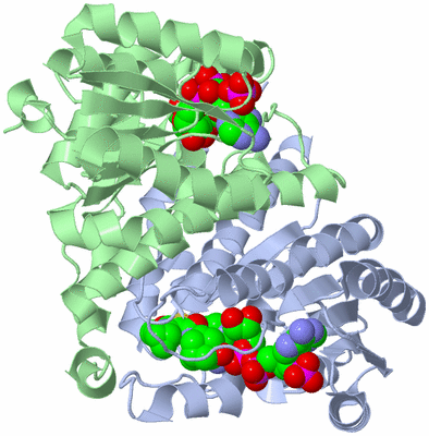 Image Biological Unit 1