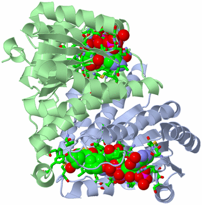 Image Biol. Unit 1 - sites