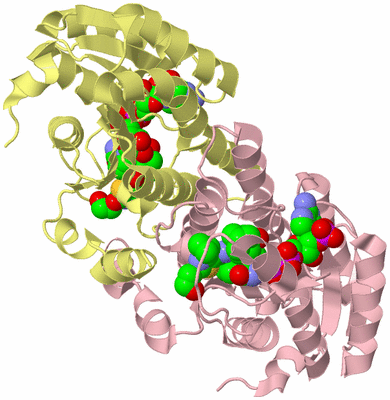 Image Biological Unit 2