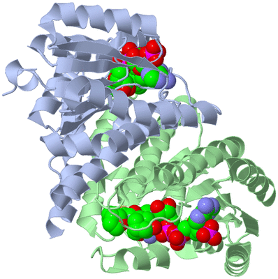 Image Biological Unit 1