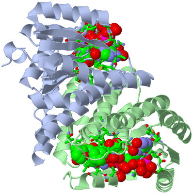 Image Biol. Unit 1 - sites