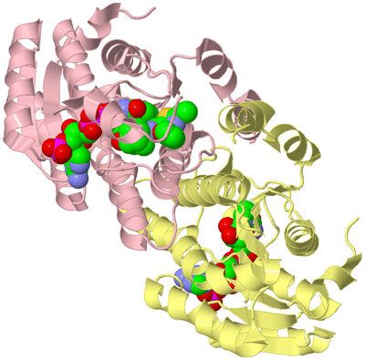 Image Biological Unit 2