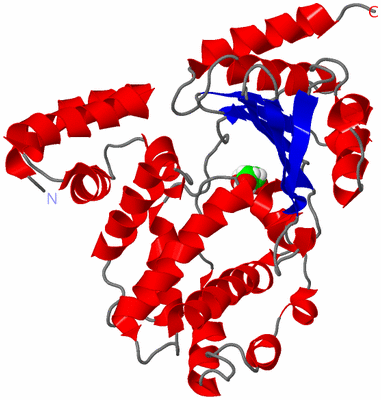 Image Asym./Biol. Unit