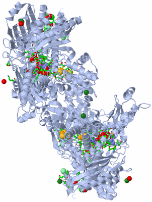 Image Biol. Unit 1 - sites