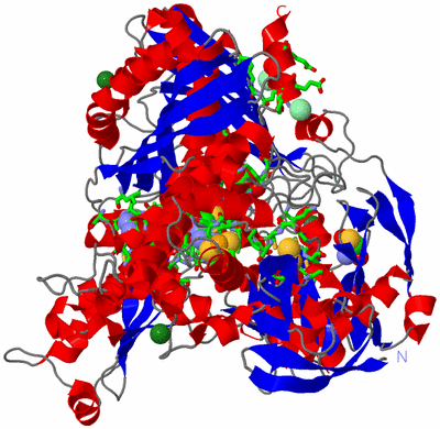 Image Asym. Unit - sites