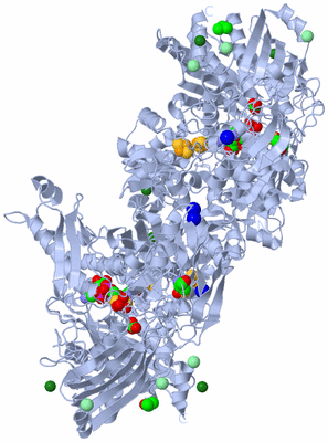 Image Biological Unit 1