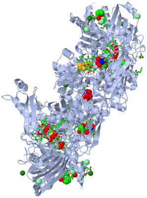 Image Biol. Unit 1 - sites