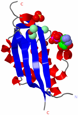 Image Asymmetric Unit