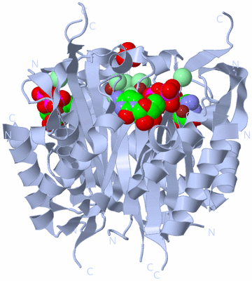 Image Biological Unit 1