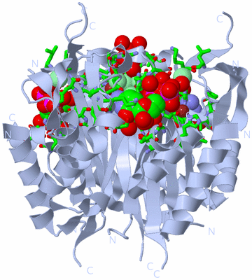 Image Biol. Unit 1 - sites