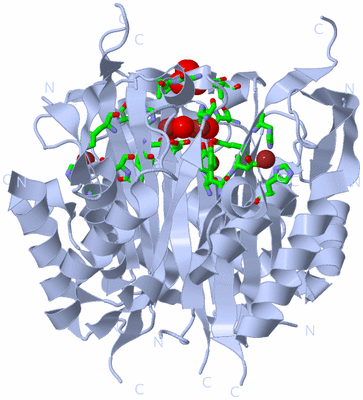 Image Biol. Unit 1 - sites