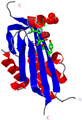 Image Asym. Unit - sites