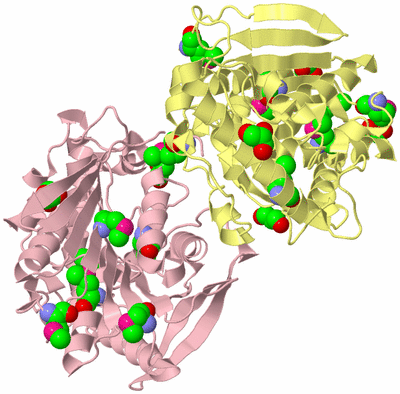 Image Biological Unit 2