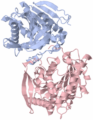 Image Biological Unit 1