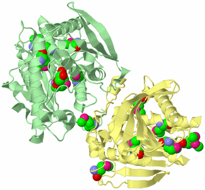 Image Biological Unit 2