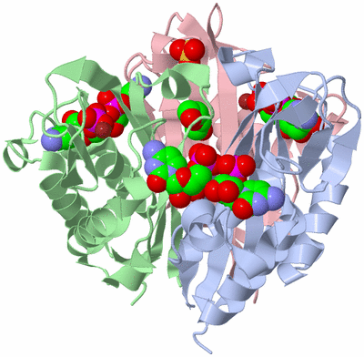 Image Asym./Biol. Unit