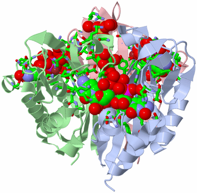 Image Asym./Biol. Unit - sites